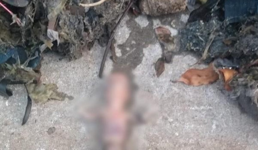 Feto de é encontrado na estação de tratamento em Londrina