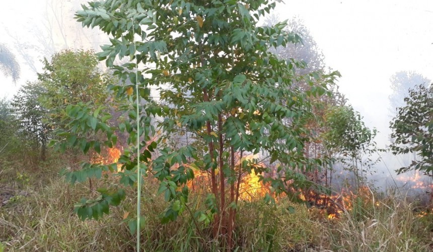 Incêndio ambiental atinge mais de 30 alqueires no interior de Boa Vista
