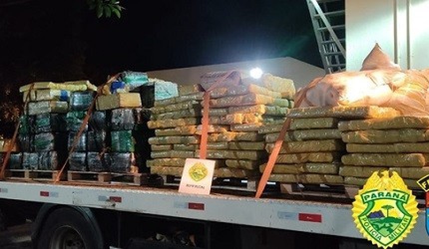 Santa Helena: BPFron apreende quatro toneladas de maconha em chiqueiro que servia para depósito da droga