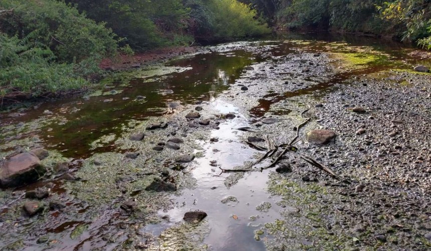Sanepar adota rodízio em nove cidades do Oeste e Sudoeste