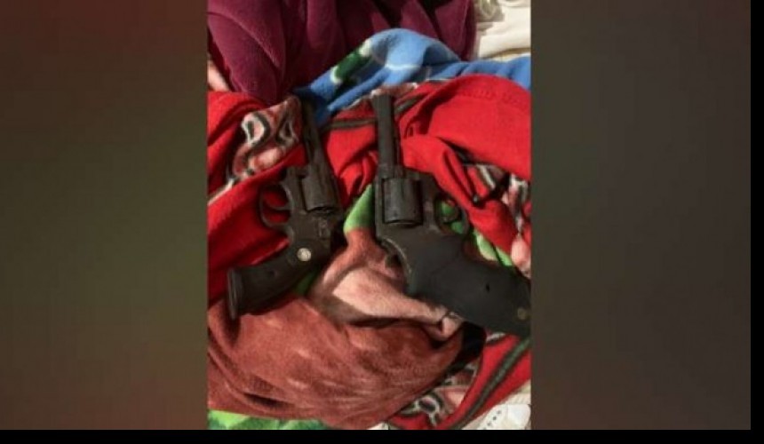 Polícia encontra cemitério de cães em Curitiba