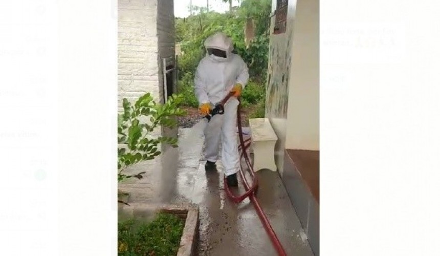 Um homem e três cachorros são atacados por enxame de abelhas em Capitão; Um dos cachorros morreu