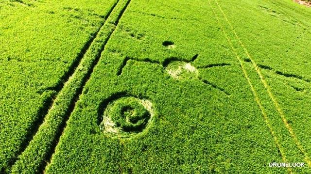 Novos desenhos geométricos aparecem em lavoura de Chopinzinho