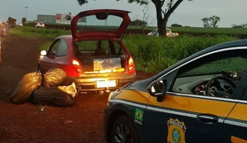 PRF apreende 145 kg de Maconha e 45 kg de Skunk em Realeza