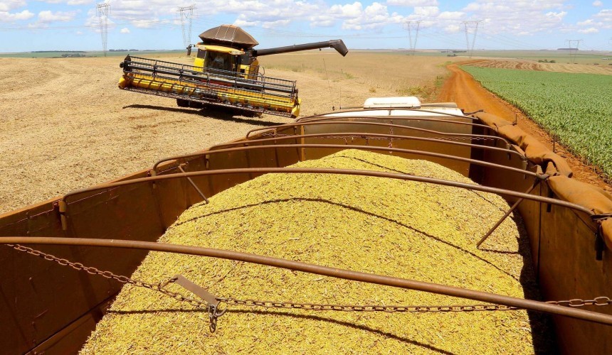 Alta de 15,7% na agropecuária reduz impacto da pandemia sobre o PIB