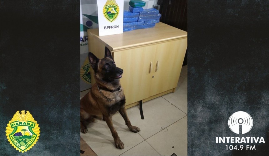 BPFRON apreende maconha em ônibus durante Operação Hórus em Lindoeste