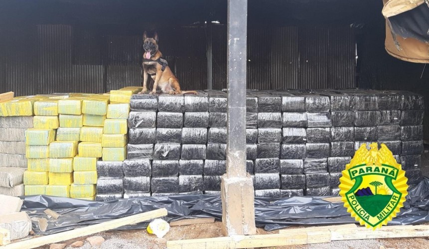 BPFron apreende 12,7 toneladas de maconha em Toledo