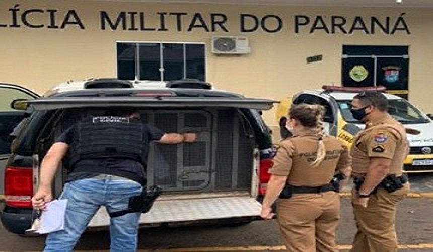 Homem que tentou matar a ex-esposa em Ampére é preso na casa da avó em Realeza