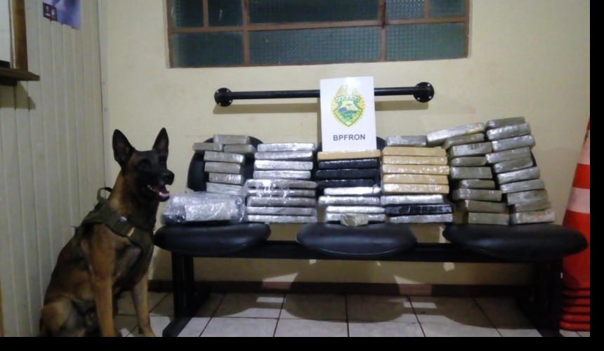 BPFRON aprende maconha em ônibus na cidade de Realeza