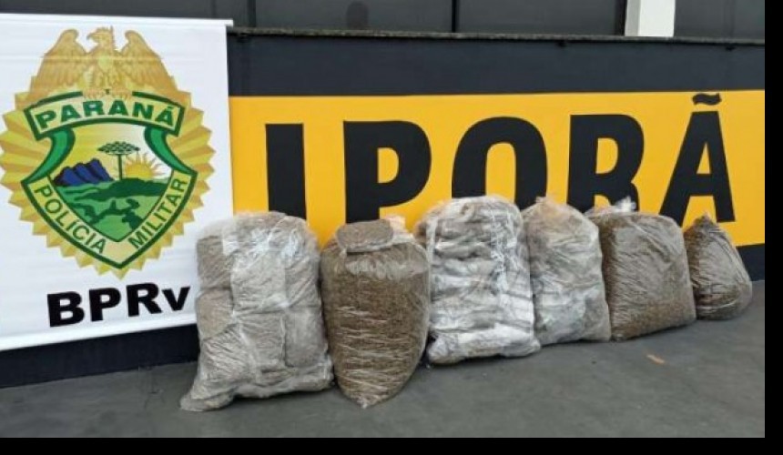 Adolescente é flagrado com mais de 50 quilos de skunk, no Noroeste do PR
