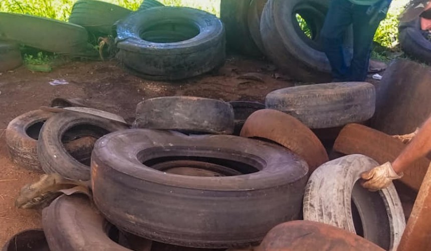 CONTRA A DENGUE: Cerca de 2 mil pneus são recolhidos em Capitão
