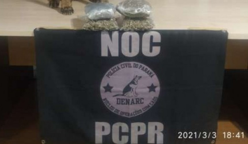 Denarc apreende 1kg de skunk na rodoviária de Cascavel