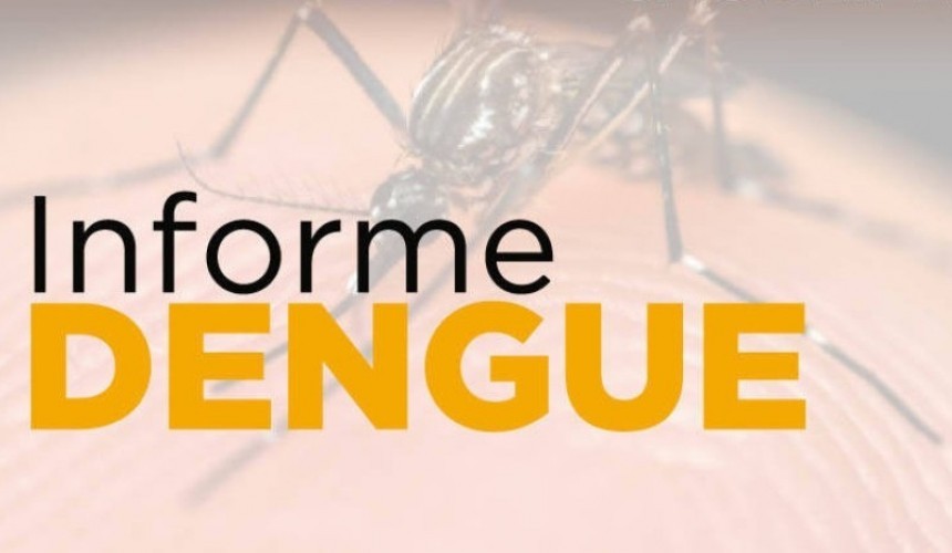 Segundo caso de dengue é confirmado em Capitão