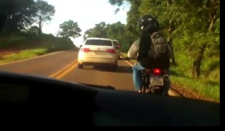 “Jetta do galo” reaparece fazendo ultrapassagem proibida na BR-180, sentido Cascavel