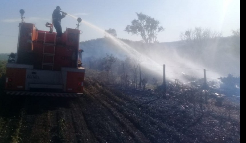 Bombeiros combatem incêndio ambiental em Capitão
