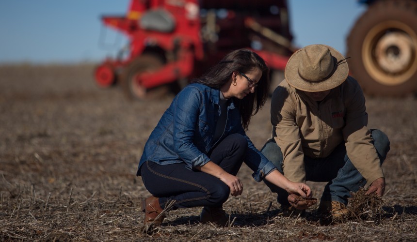 Sicredi está entre as instituições que mais liberaram recursos ao agronegócio, segundo rankings do BNDES e FEBRABAN