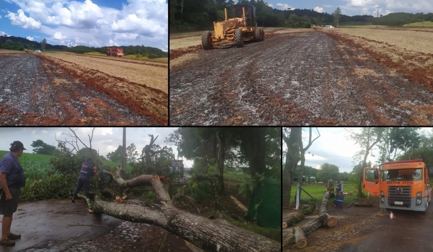 Incêndio ambiental e queda de árvore são atendidos pelos bombeiros de Capitão