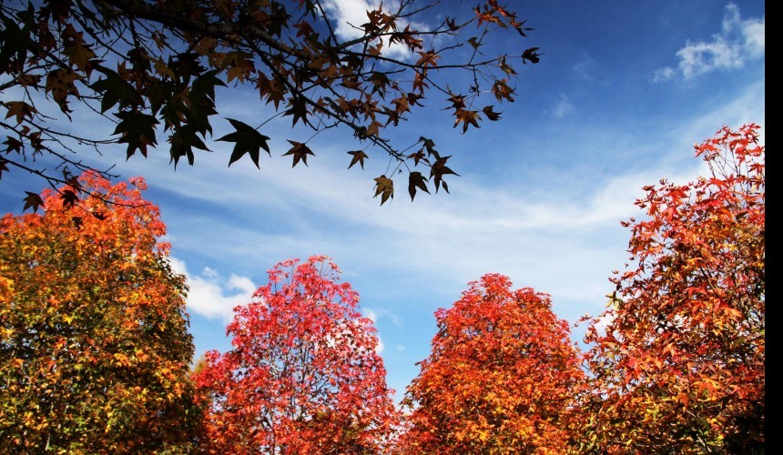 Outono começa abafado e parcialmente nublado com chuva à tarde