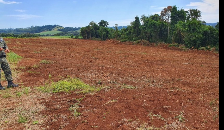 Policia autua proprietário de área em Santa Lúcia por crime ambiental