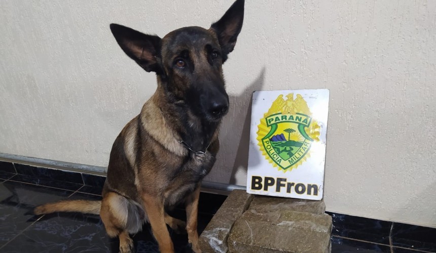 Tabletes de maconha são encontrados em ônibus em Capitão Leônidas Marques