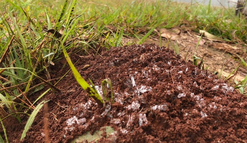 Sul do Brasil deve se preparar para frio nos próximos dias