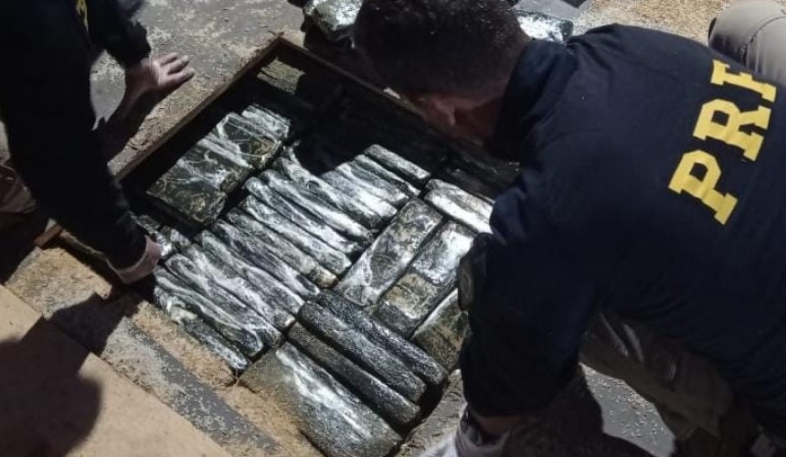 PRF prende pai e filho transportando quase meia tonelada de maconha em Guaíra