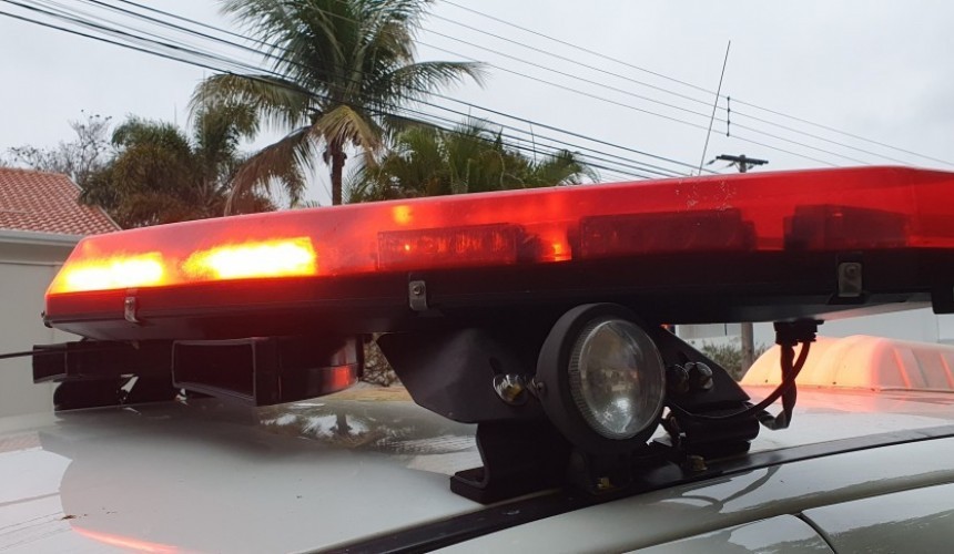 Alerta: Dois porcos e uma vaca foram furtados de sítio em Boa Vista da Aparecida