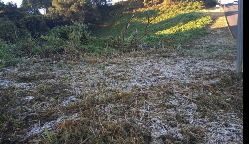 Palmas registra uma de suas primeiras geadas do ano