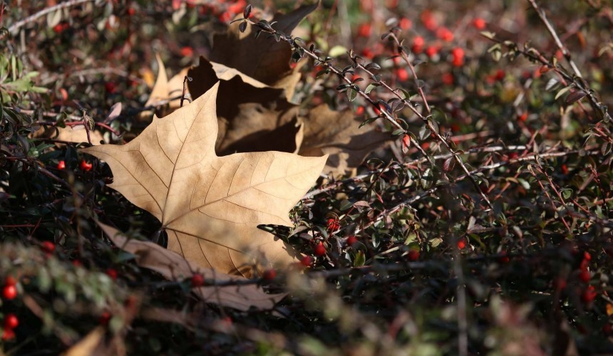 Paraná registra primeira temperatura negativa de 2021