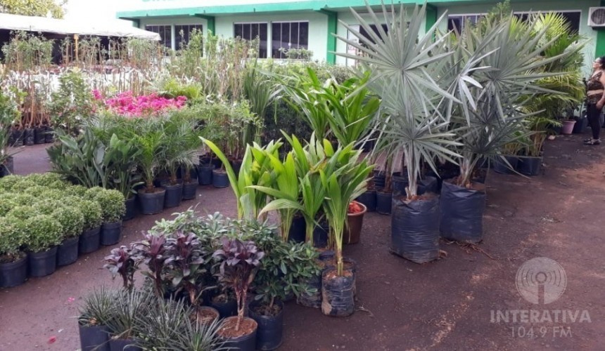 Sindicato dos Trabalhadores Rurais promoverá feira de mudas em Capitão