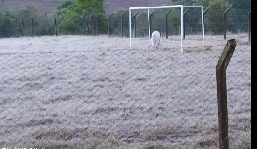 Com temperaturas baixas Capitão registra as primeiras ocorrências de geada
