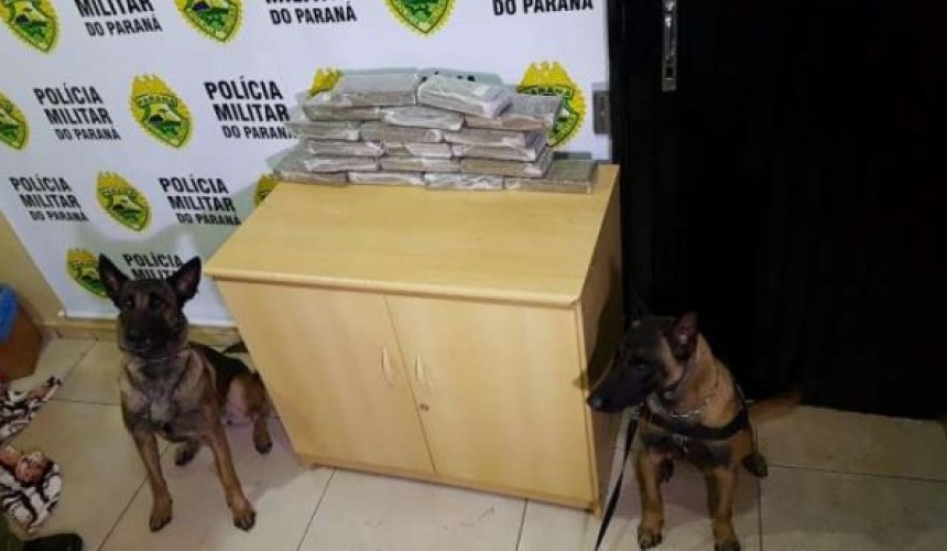 BPFRON e BOPE apreendem maconha em Cascavel