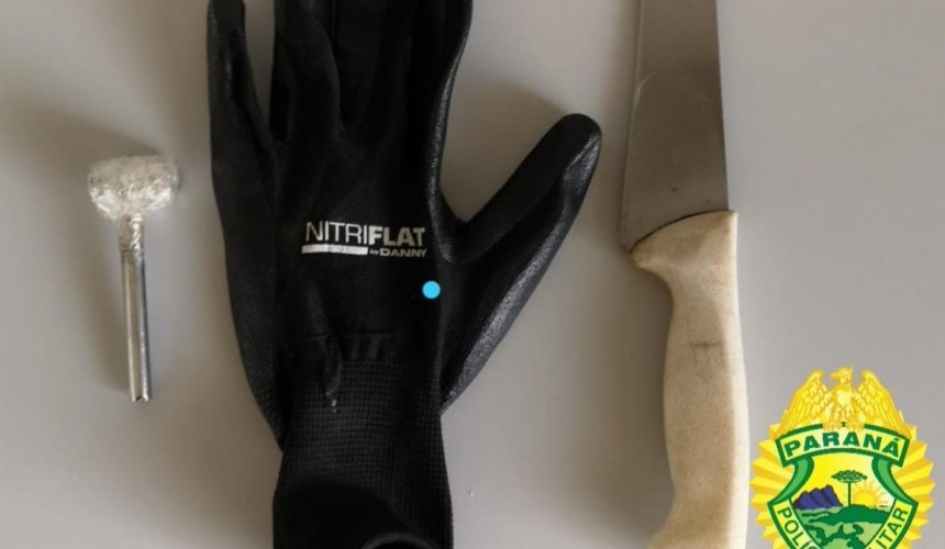 Autor de furto é preso pela Polícia Militar de Realeza