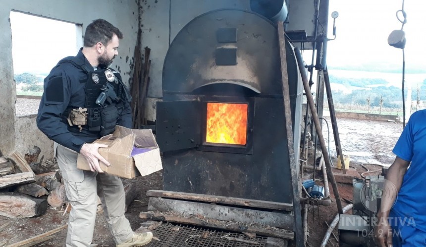 Mais de 110 kg de drogas são incinerados em Capitão Leônidas Marques