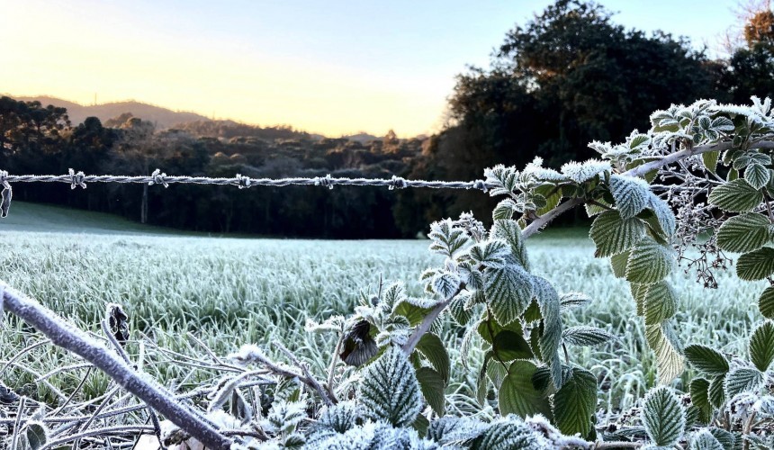 Mais 13 municípios batem recorde de temperaturas baixas neste ano no Paraná