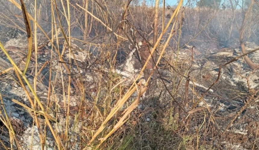 Segundo incêndio ambiental é registrado na região da Praia da Figueira em Capitão na mesma semana
