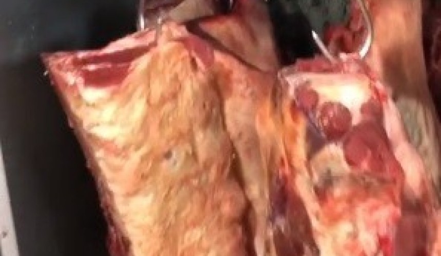 Polícia Civil recupera parte de carne saqueada em acidente onde motorista veio a óbito