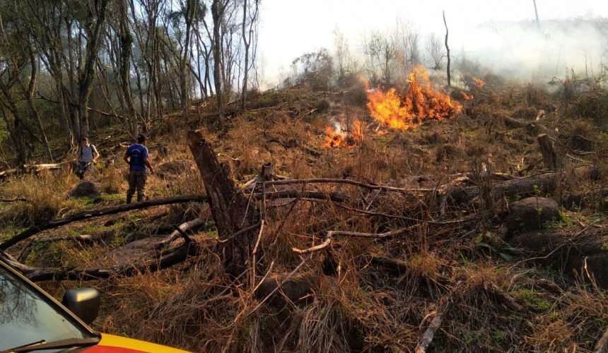 Bombeiros de Capitão controlam incêndio em Lindoeste