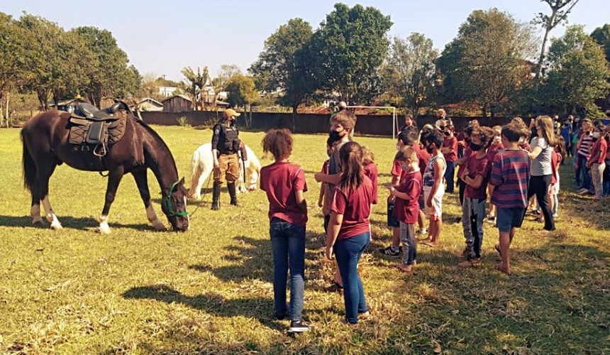Projeto de equoterapia será implantado em escolas de Capitão