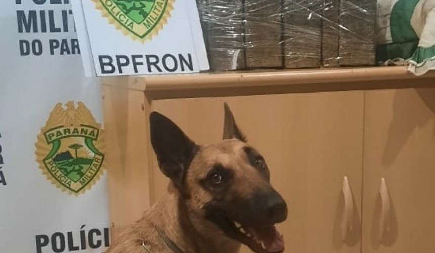 BPFRON apreende droga durante abordagem a ônibus em Lindoeste-PR