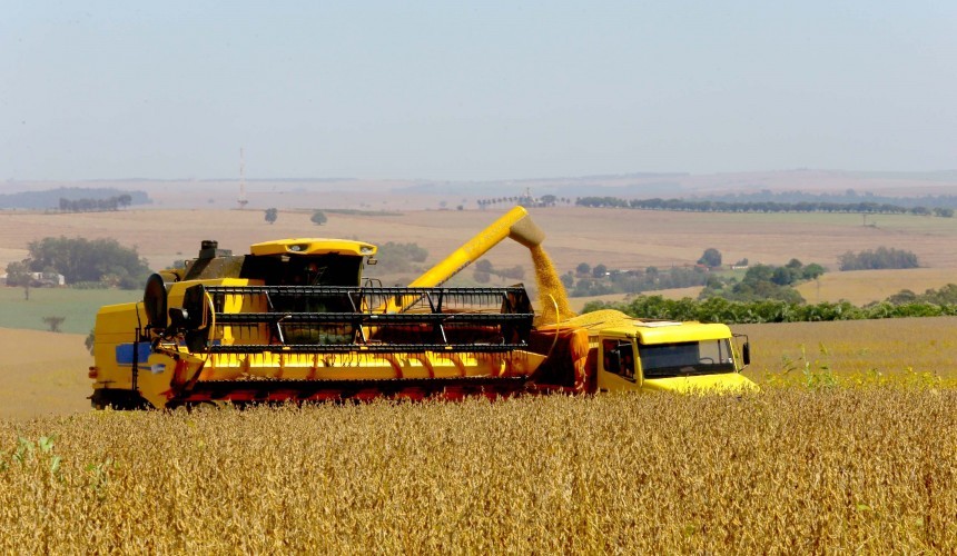 Paraná deve produzir 25,5 milhões de toneladas de grãos na safra de verão
