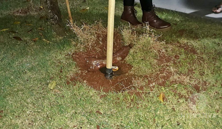 Capitão: Alunos do Colégio Carlos Argemiro desenterram cápsula do tempo após 6 anos