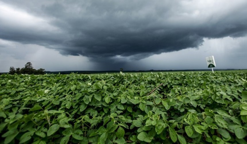 Chuva traz alívio para as lavouras de Capitão e região