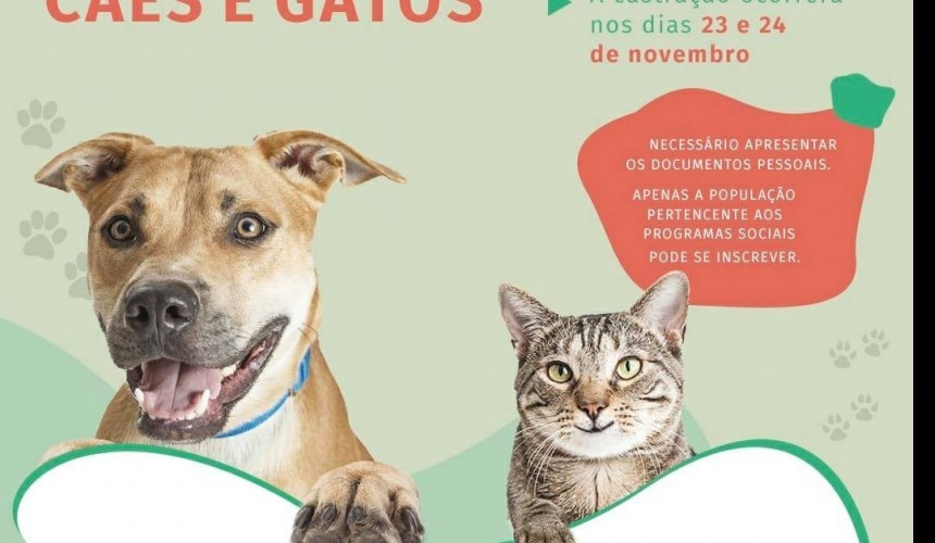 Capitão: Inscrições serão abertas para Castração Cirúrgica de cães e gatos