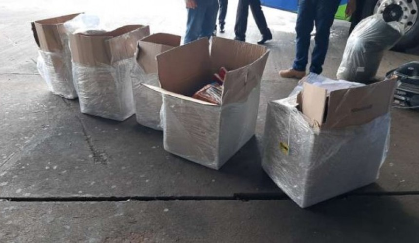 Cão farejador da polícia encontra drogas em ônibus na rodoviária de Cascavel