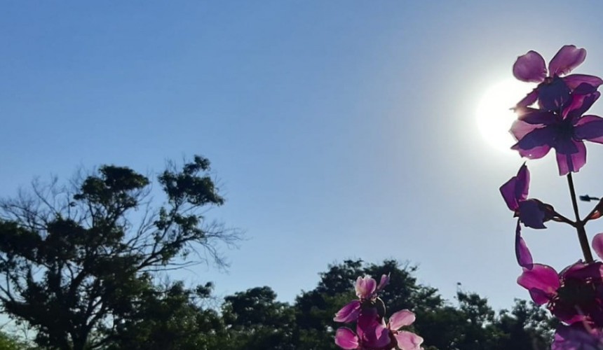 Capitão e outros 13 municípios do PR registraram temperaturas superiores a 38 graus