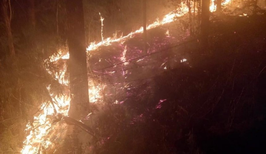 Bombeiros trabalham mais de 27 horas para combater incêndio em reflorestamento de Dionísio Cerqueira