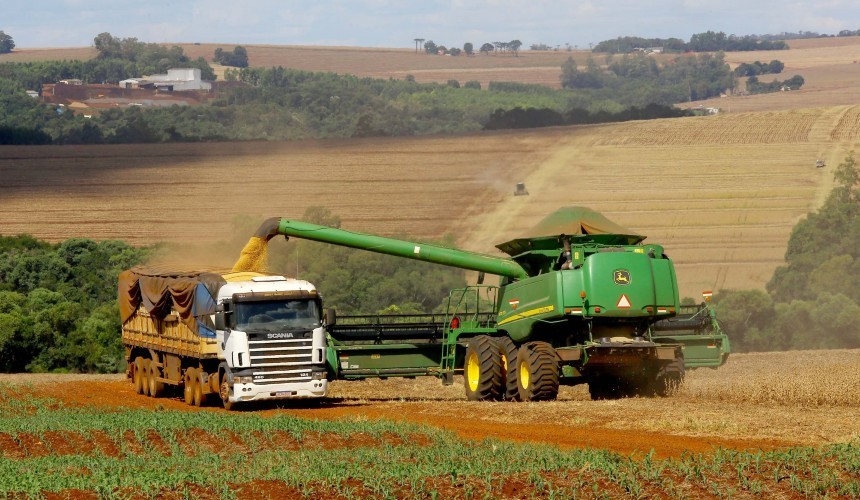 Colheita da soja no Paraná atinge 4% da área, diz Deral