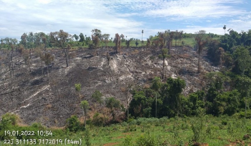 Proprietário é autuado em R$ 90 mil por crime ambiental em Quedas do Iguaçu