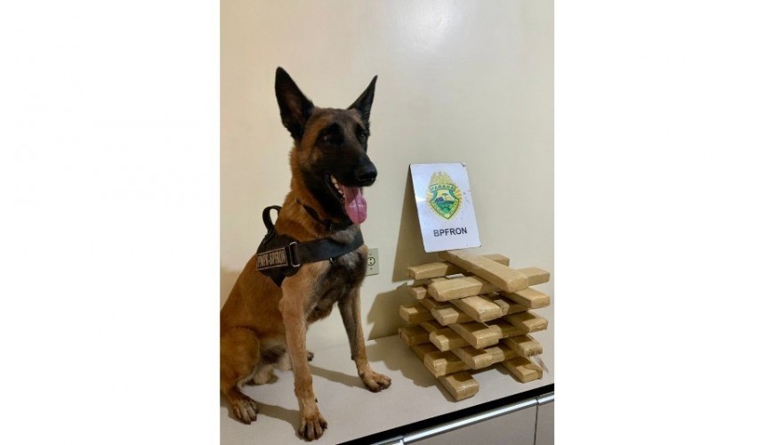 Carga de maconha é encontrada em meio a mata em Itaipulândia